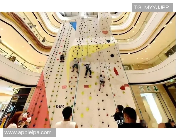 广州攀岩队心理素质引发热议与争议背后的深层原因探讨 广州攀岩队心理素质引发热议与争议背后的深层原因探讨