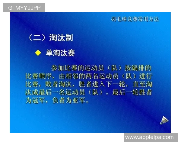 武汉羽毛球队的整体压制揭秘与深度分析羽毛球运动的未来发展方向