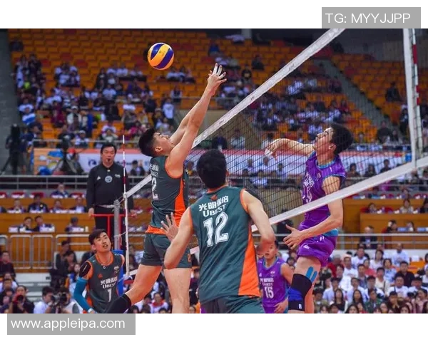 深圳排球队携手奋进实现团队协作新高度荣登全国排球团队协作榜首