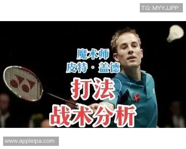 深圳羽毛球队整体压制战术解析与实战应用探讨